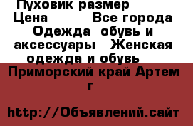 Пуховик размер 42-44 › Цена ­ 750 - Все города Одежда, обувь и аксессуары » Женская одежда и обувь   . Приморский край,Артем г.